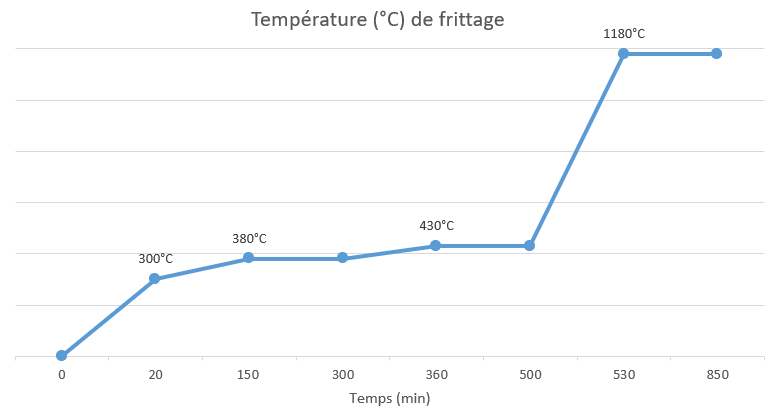 Grafique de deliantage et de frittage du nanovia mt inox 316L
